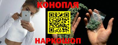 сатива Балахна