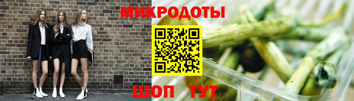 Псилоцибиновые грибы Cubensis Берёзовский
